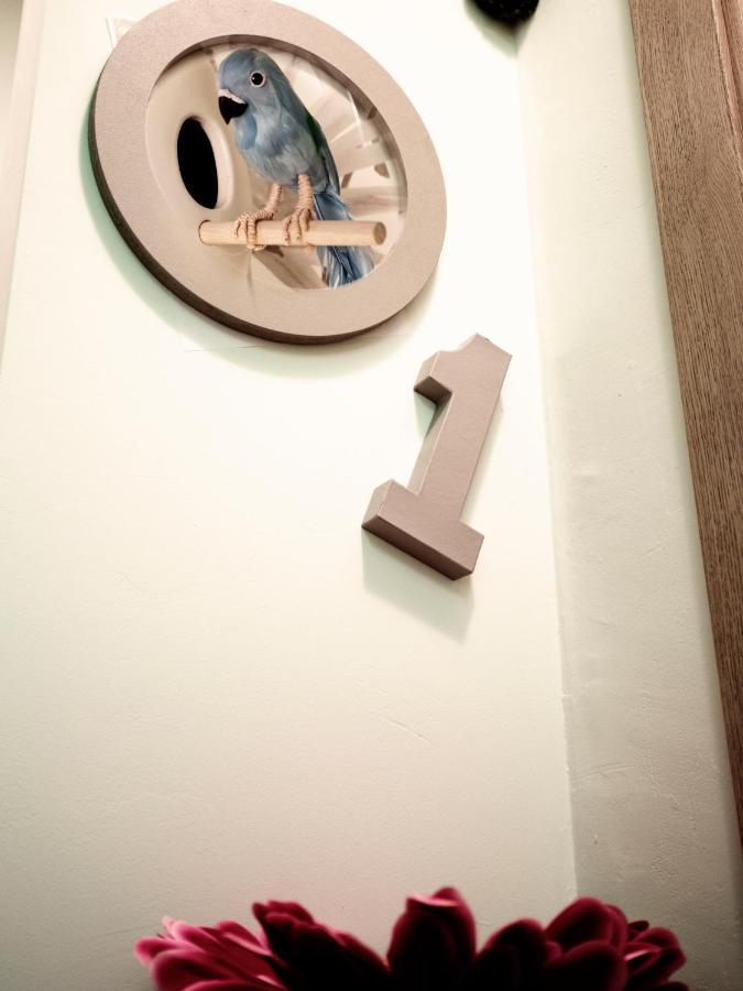 Estudios En Ciudad Appartement